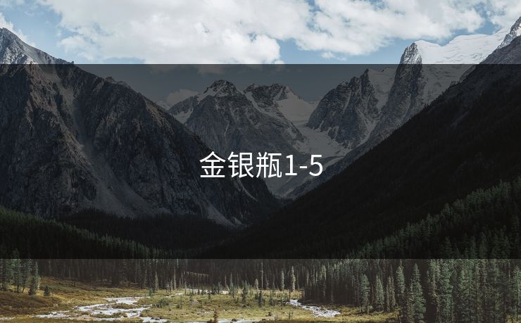 金银瓶1-5