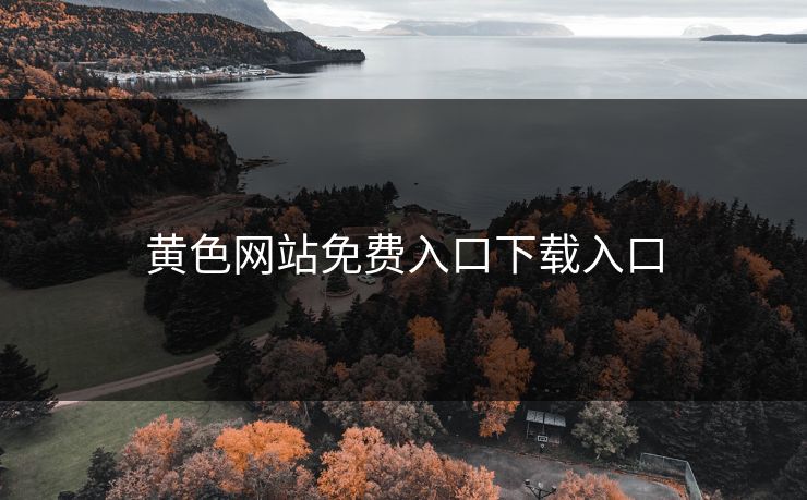 黄色网站免费入口下载入口