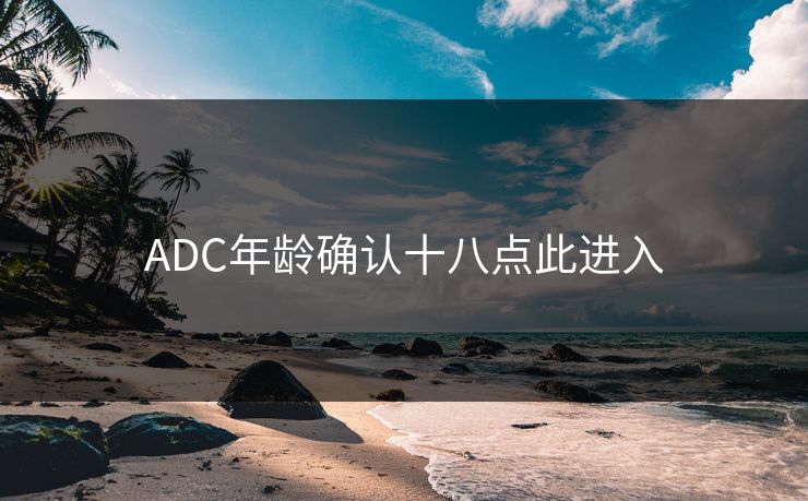 ADC年龄确认十八点此进入