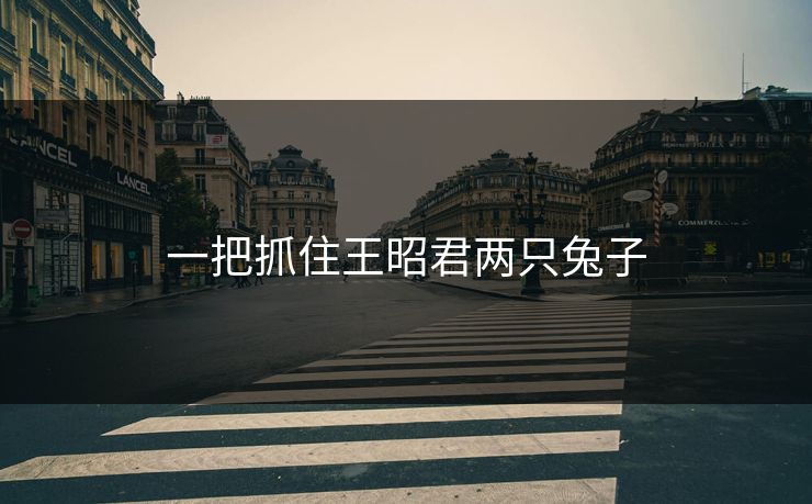 一把抓住王昭君两只兔子