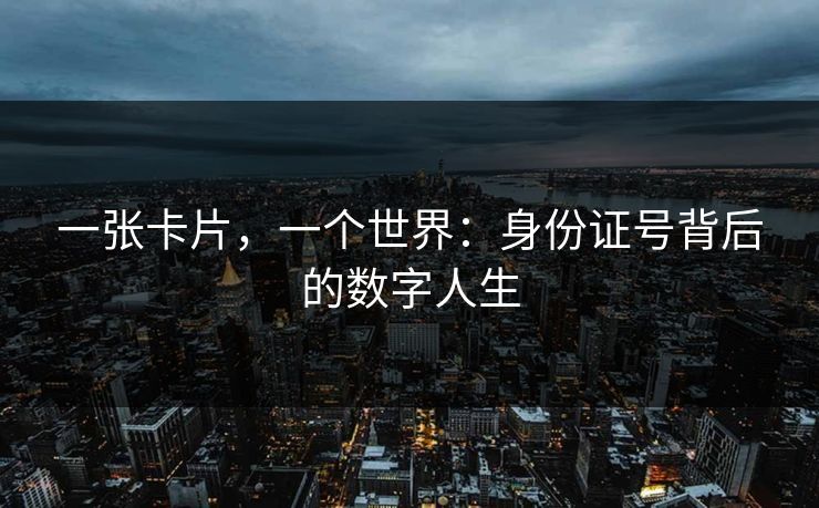 一张卡片，一个世界：身份证号背后的数字人生