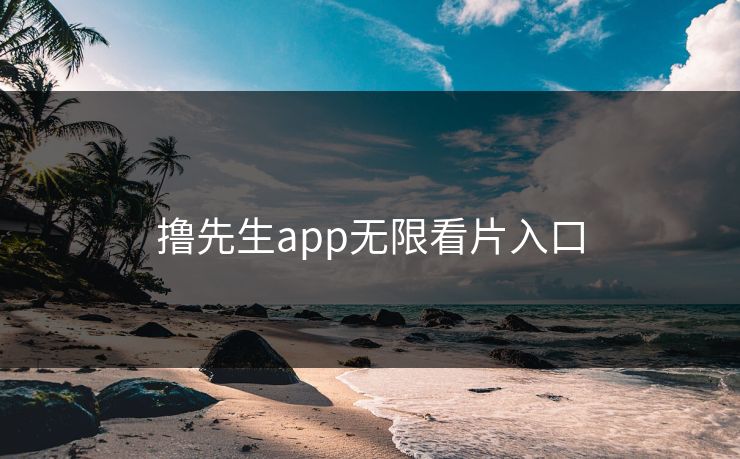撸先生app无限看片入口