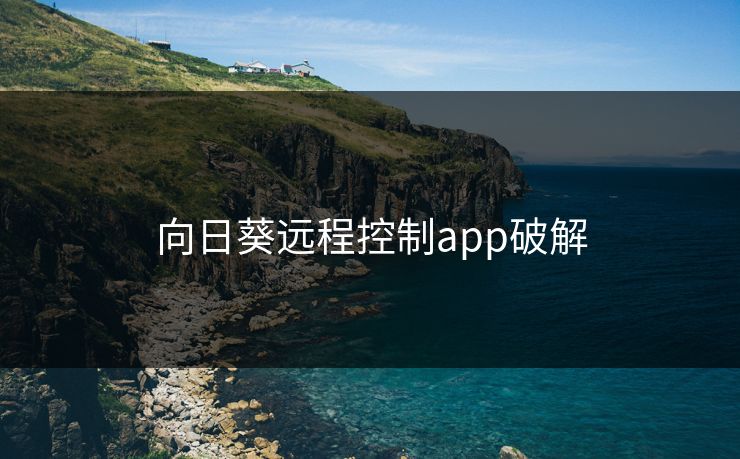 向日葵远程控制app破解 向日葵远程控制app破解