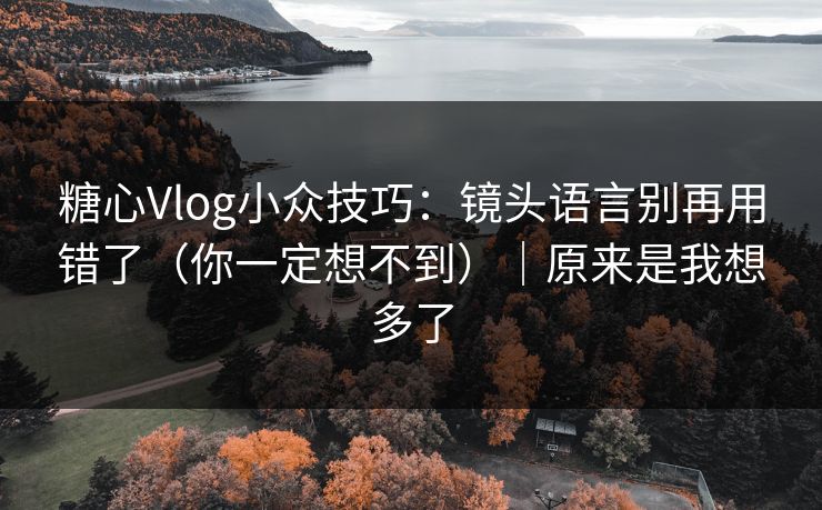 糖心Vlog小众技巧：镜头语言别再用错了（你一定想不到）｜原来是我想多了
