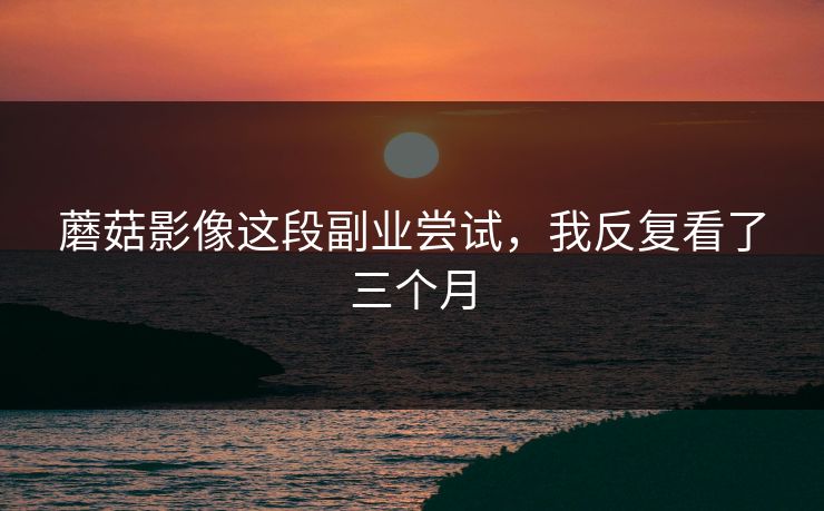蘑菇影像这段副业尝试，我反复看了三个月